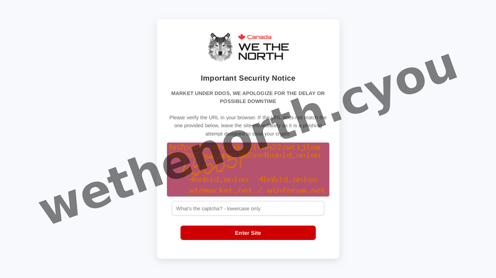 DDoS Protection Screen